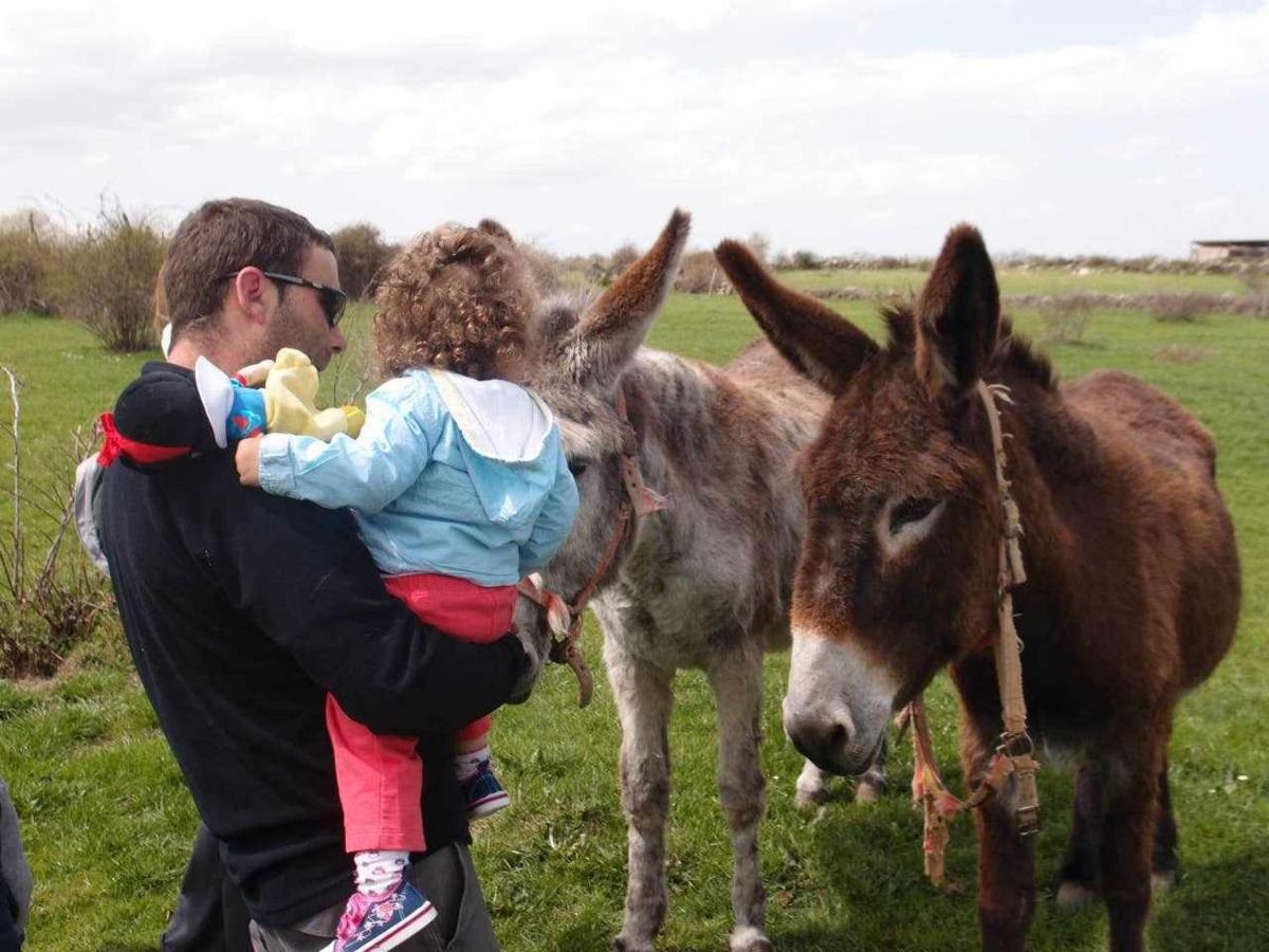 Agroturismo El Mirador De La Cigueena Cabanillas del Monte Εξωτερικό φωτογραφία