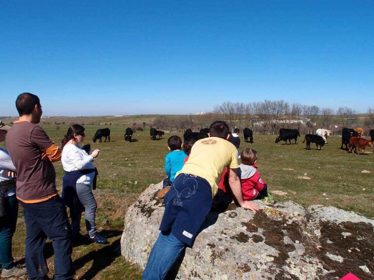 Agroturismo El Mirador De La Cigueena Cabanillas del Monte Εξωτερικό φωτογραφία