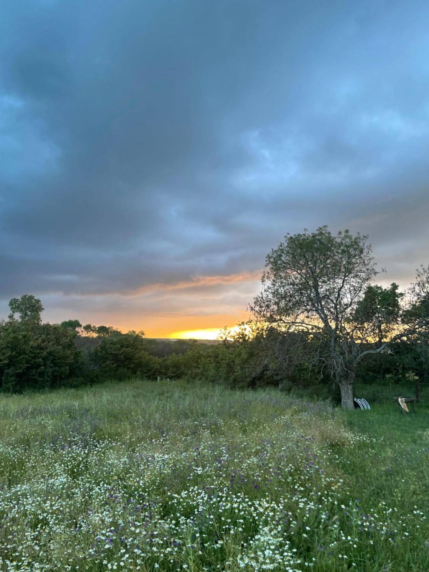 Agroturismo El Mirador De La Cigueena Cabanillas del Monte Εξωτερικό φωτογραφία